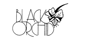 BLACK ORCHID logo