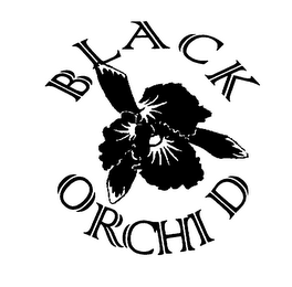 BLACK ORCHID logo