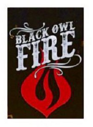 BLACK OWL FIRE logo