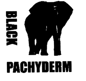 BLACK PACHYDERM logo