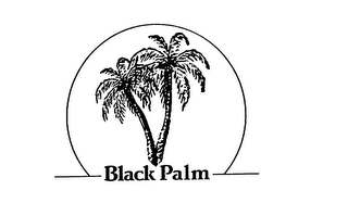 BLACK PALM logo