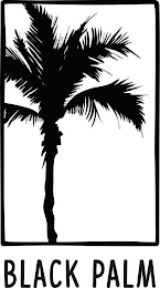 BLACK PALM logo