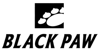 BLACK PAW logo