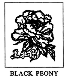 BLACK PEONY logo