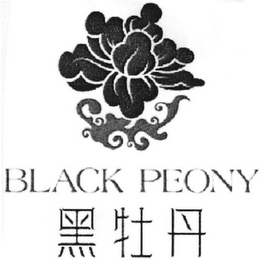 BLACK PEONY
