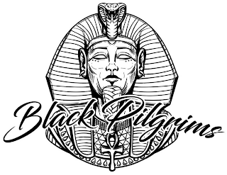 BLACK PILGRIMS logo