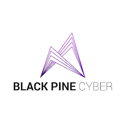 BLACK PINE CYBER logo