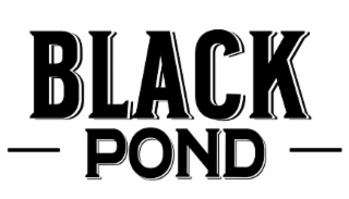 BLACK POND logo