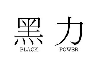 BLACK POWER logo