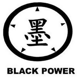 BLACK POWER logo