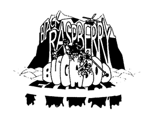 BLACK RASPBERRY BUGABOO FUDGE logo