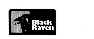 BLACK RAVEN logo