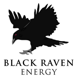 BLACK RAVEN ENERGY logo
