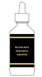 BLACK RICE POWERFUL GROWTH logo