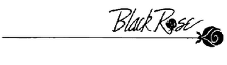 BLACK ROSE logo