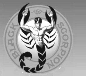 BLACK SCORPION logo