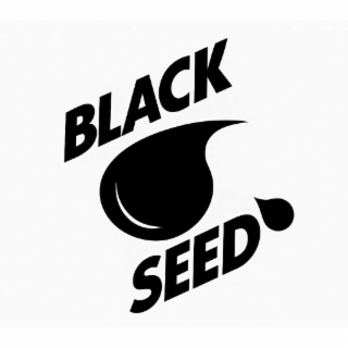 BLACK SEED logo