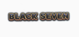 BLACK SEVEN logo