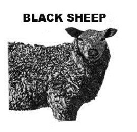 BLACK SHEEP logo