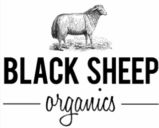 BLACK SHEEP ORGANICS logo