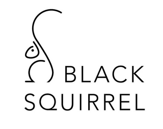 BLACK SQUIRREL logo