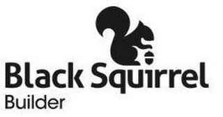BLACK SQUIRREL BUILDER logo