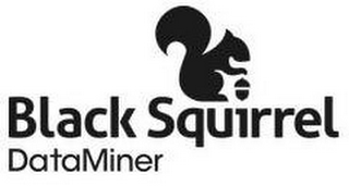 BLACK SQUIRREL DATAMINER logo