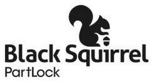 BLACK SQUIRREL PARTLOCK logo