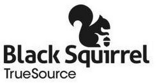 BLACK SQUIRREL TRUESOURCE logo