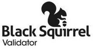BLACK SQUIRREL VALIDATOR logo