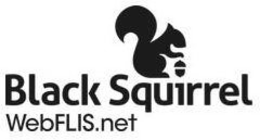 BLACK SQUIRREL WEBFLIS.NET logo