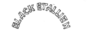 BLACK STALLION logo