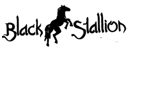 BLACK STALLION logo