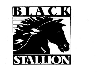 BLACK STALLION logo