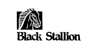 BLACK STALLION logo