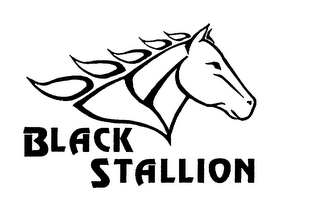 BLACK STALLION logo