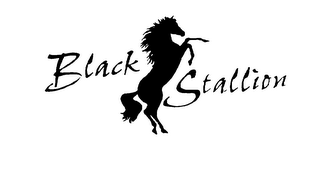 BLACK STALLION logo