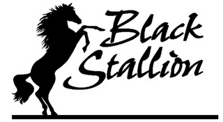 BLACK STALLION logo