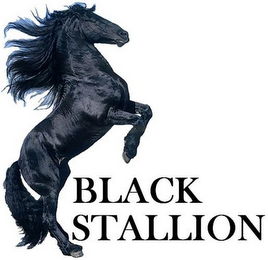 BLACK STALLION logo