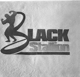 BLACK STALLION logo