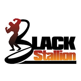 BLACK STALLION logo