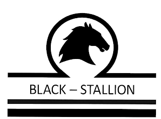 BLACK - STALLION logo