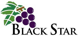 BLACK STAR logo