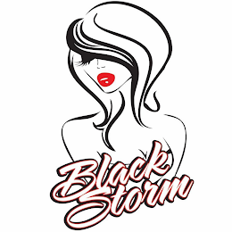 BLACK STORM logo