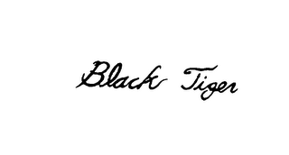 BLACK TIGER logo