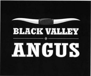 BLACK VALLEY ANGUS logo