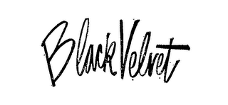 BLACK VELVET logo