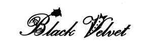 BLACK VELVET logo