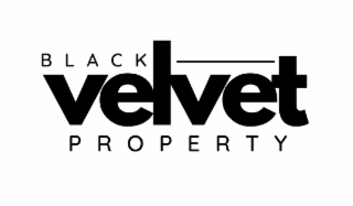 BLACK VELVET PROPERTY logo