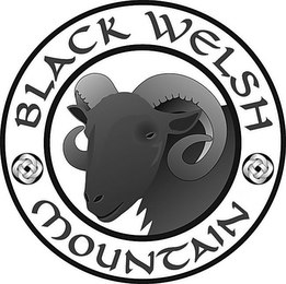 BLACK WELSH MOUNTAIN logo